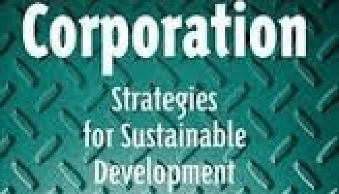 Güler Aras - The Durable Corporation