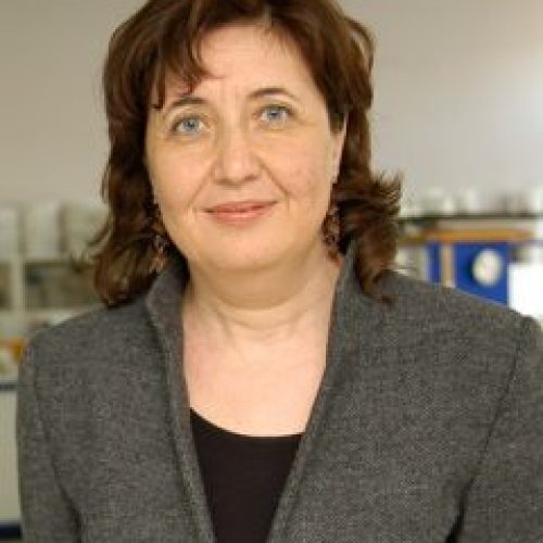 gulsenceliker Gülsen Çeliker