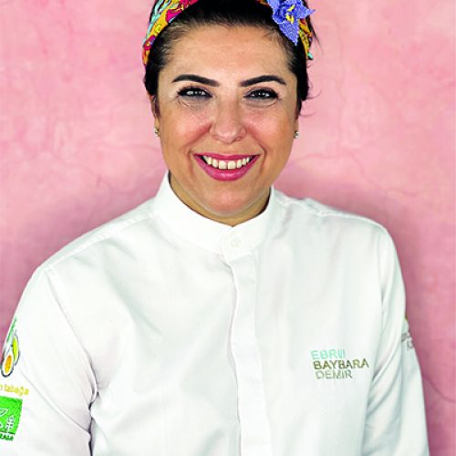 ebru-baybara-demir ebru-baybara-demir